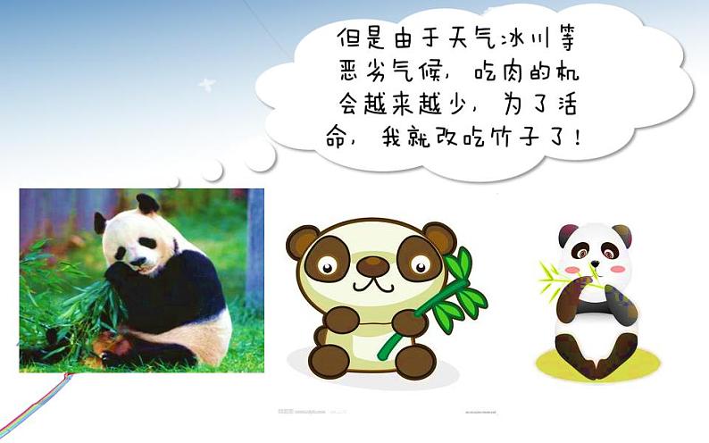 北师大版 六年级下册心理健康-第三十六课学会适应(19)ppt课件第7页
