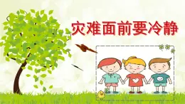 小学三年级上册心理健康-17《灾难面前要冷静》-北师大-(15张PPT)ppt课件