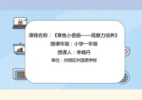 小学心理健康 一年级 章鱼小香肠——观察力培养 PPT 课件