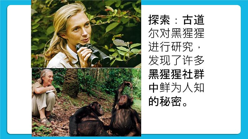 1 爱探索,爱发现 课件+教案06