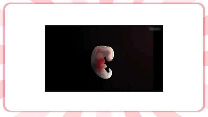 第5课 我能照顾妈妈了 课件第5页