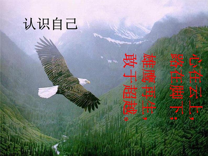 三年级心理健康课件-+1认识自己+|大象版第1页