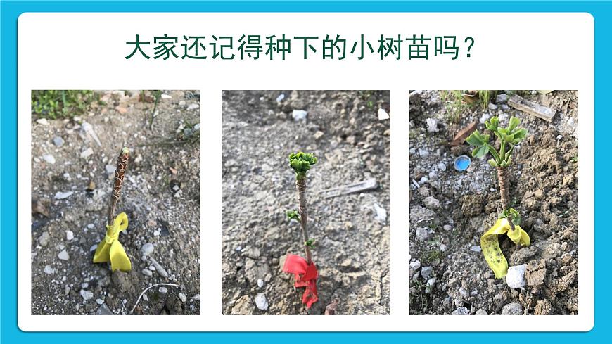 北師大版心理健康一年級下冊《珍愛生命》教學(xué)課件第6頁