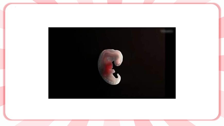 南大&北師大版三年級(jí)心理健康第5課  我能照顧媽媽了 課件第5頁(yè)