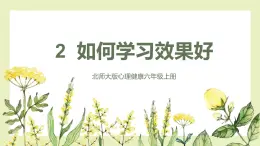 【北师大版】六上心理健康 2 如何学习效果好（课件+教案）