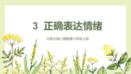 【北师大版】六上心理健康 3 正确表达情绪（课件+教案）