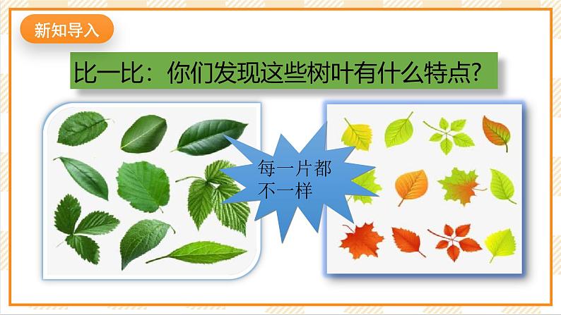 京教版心理健康教育五年级 1.1《不一样的我》课件第2页