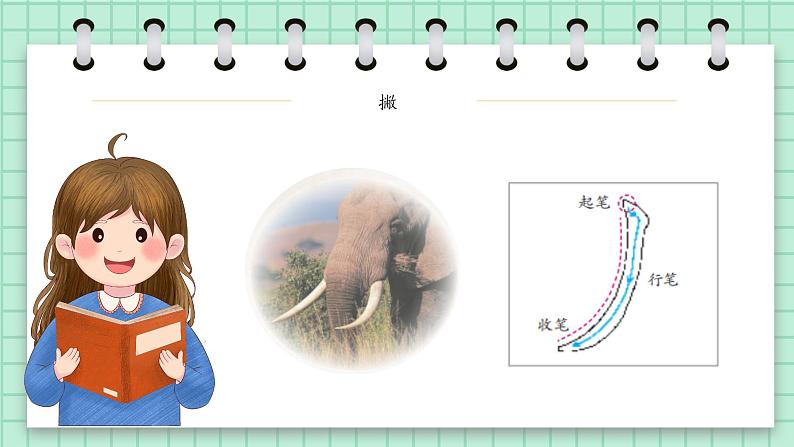 第5课《撇》课件第4页