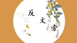 第4課《反文旁》課件