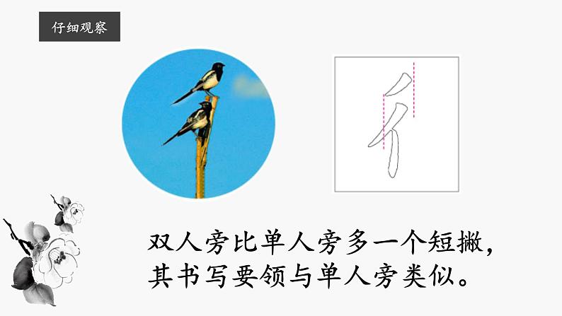 第2课《双人旁》课件第5页
