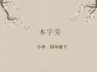 湘美版書法四下 第11課 木字旁 課件+教案