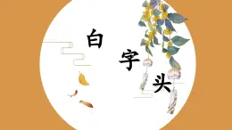 第15课《白字头》课件+教案