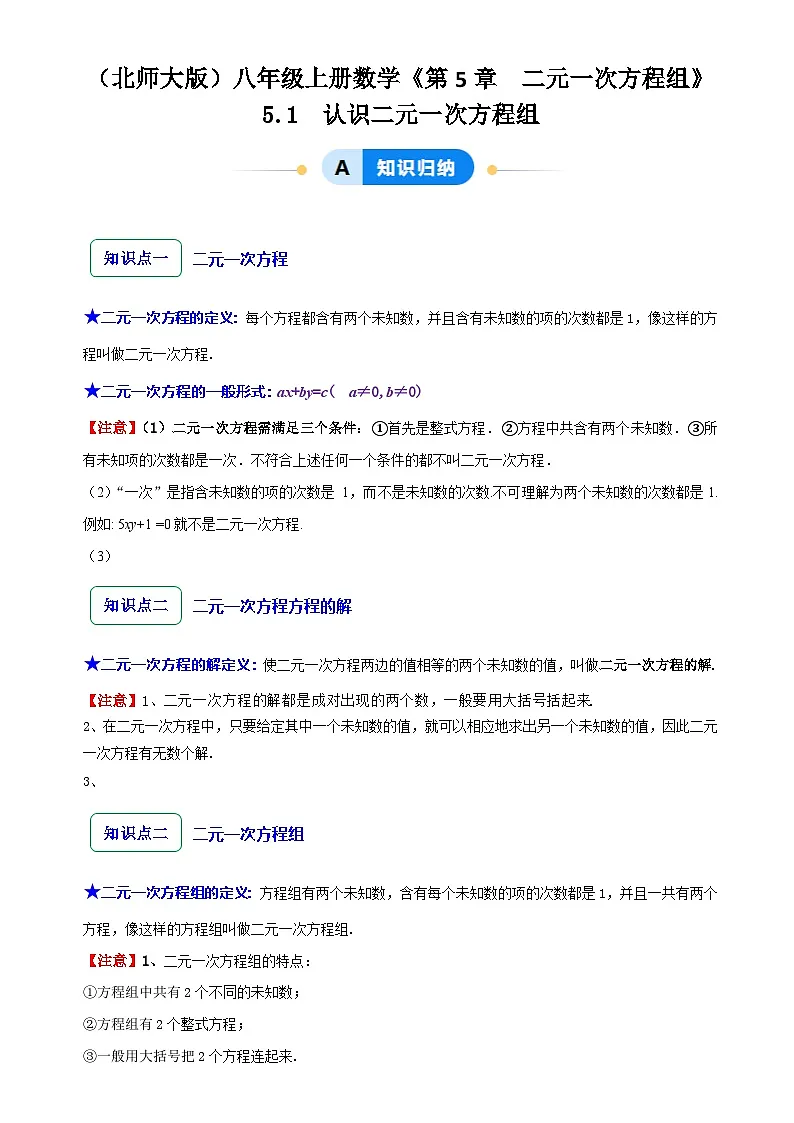 5.1 认识二元一次方程组(10大题型提分练)(解析版)-A4第1页