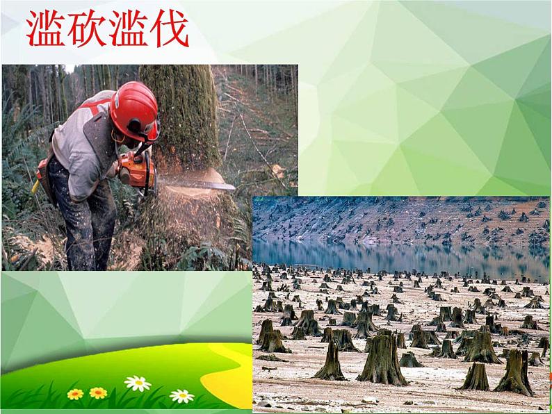 小学 综合实践活动 我做环保宣传员 《低碳生活 从我做起》 部优课件第5页