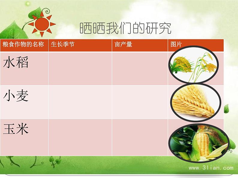 小学 综合实践活动 来之不易的粮食 部优课件第7页