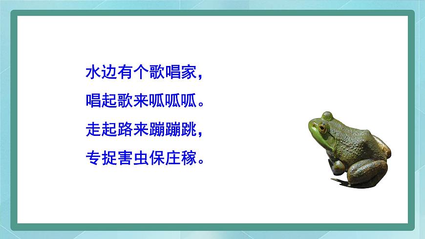我喜歡的小動物第3頁