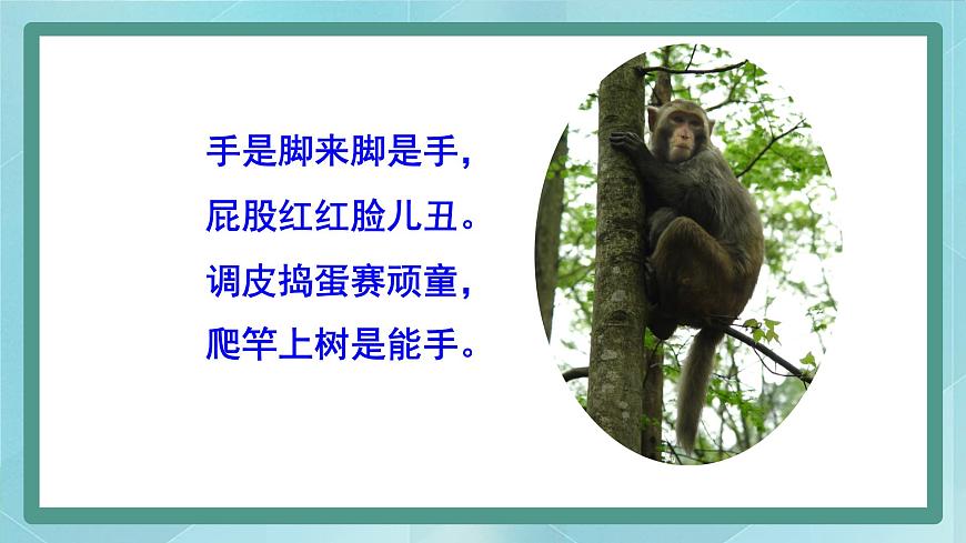 我喜歡的小動物第4頁
