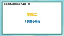 小学综合实践活动三年级上册 主题二 2.饲养小动物 课件+教案 （教科版）