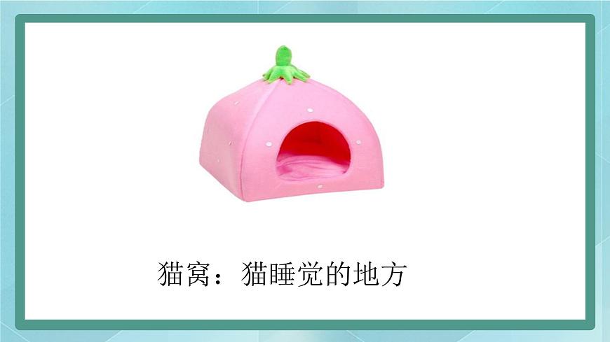飼養(yǎng)小動物第7頁