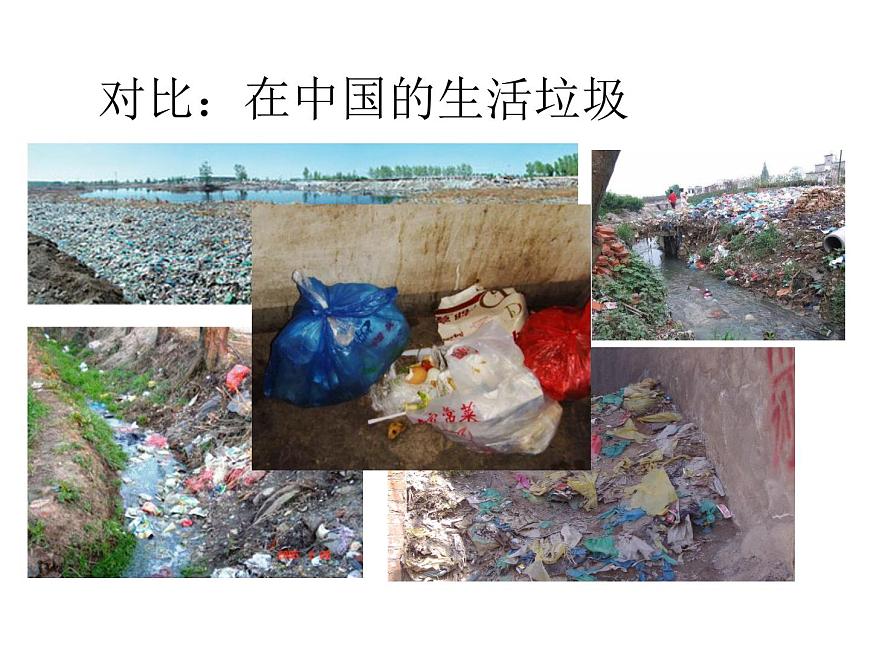粵教版綜合實(shí)踐三年級上冊《垃圾分類你我同行》課件PPT第6頁