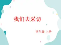 教科版綜合實(shí)踐四上 今天我們?nèi)ゲ稍L 課件+教案