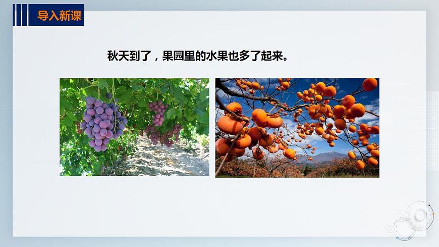 第二單元  秋天的童話  主題活動(dòng)二《認(rèn)識(shí)水果朋友》  課件第2頁(yè)