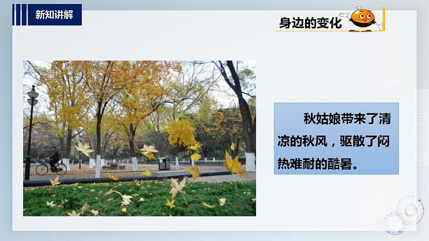第二單元  秋天的童話  主題活動(dòng)三《寫(xiě)給秋姑娘的明信片》  課件第7頁(yè)