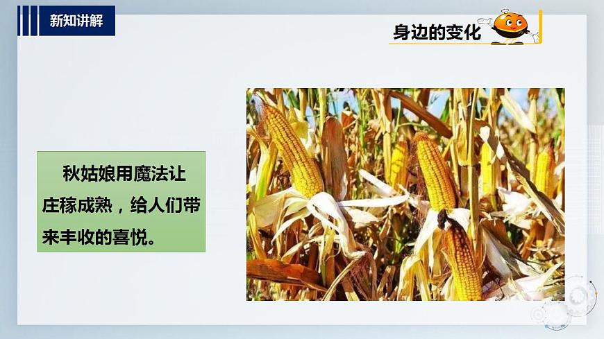 第二單元  秋天的童話  主題活動(dòng)三《寫(xiě)給秋姑娘的明信片》  課件第8頁(yè)