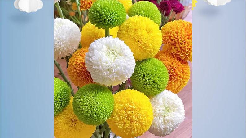 综合实践《纸雕花球》课时课件04
