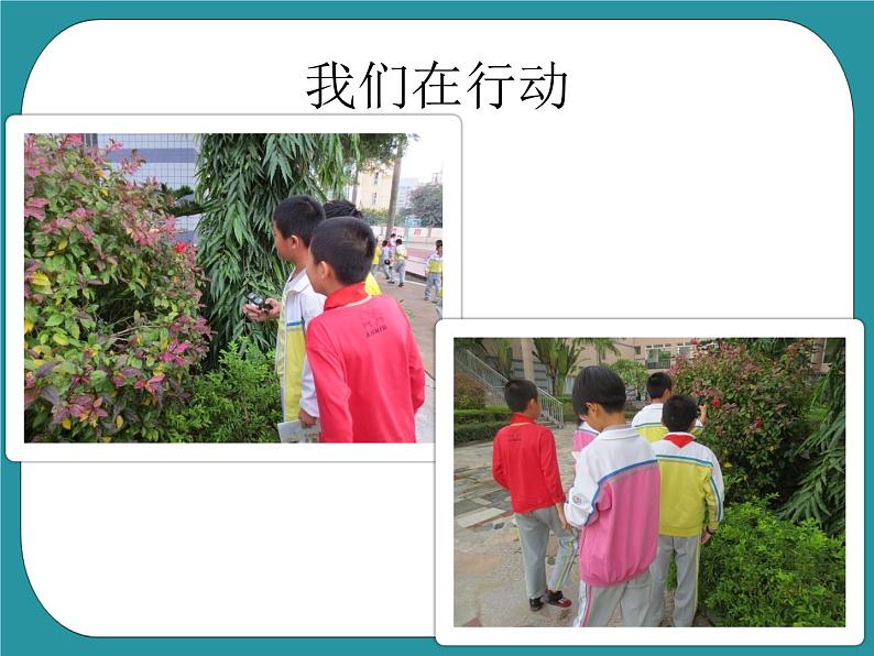 1.各种各样的饮料课件PPT02