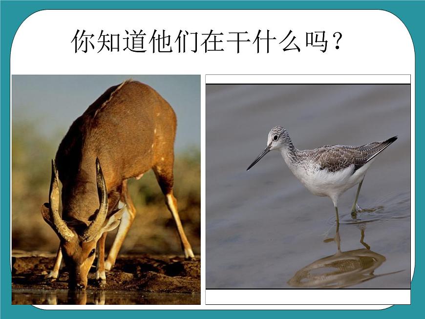 1.家務勞動小調(diào)查課件PPT第3頁