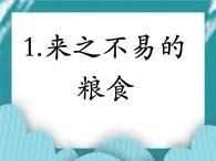 1.来之不易的粮食课件PPT