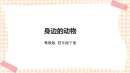 《身邊的動(dòng)物》   課件+教案