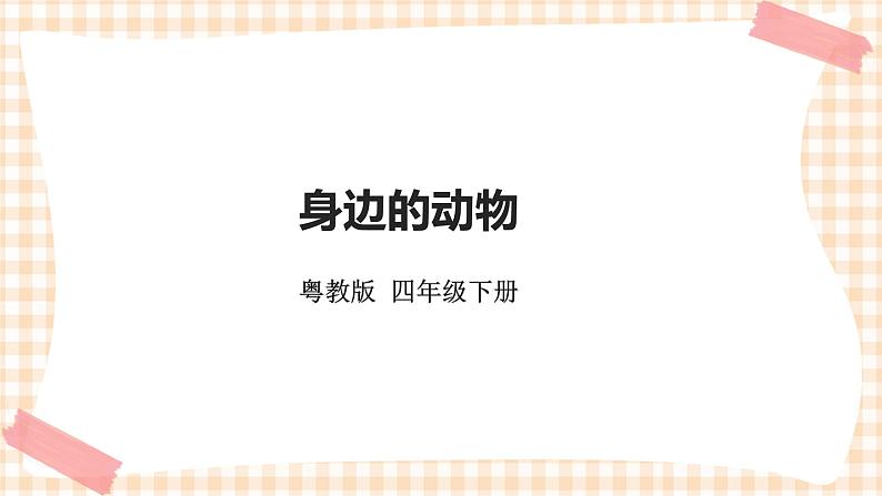 《身边的动物》 课件第1页