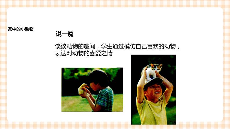 《身边的动物》 课件第6页