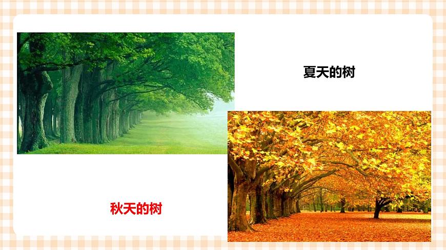 第二單元  秋天的童話  主題活動(dòng)三《寫給秋姑娘的明信片》  課件第2頁(yè)