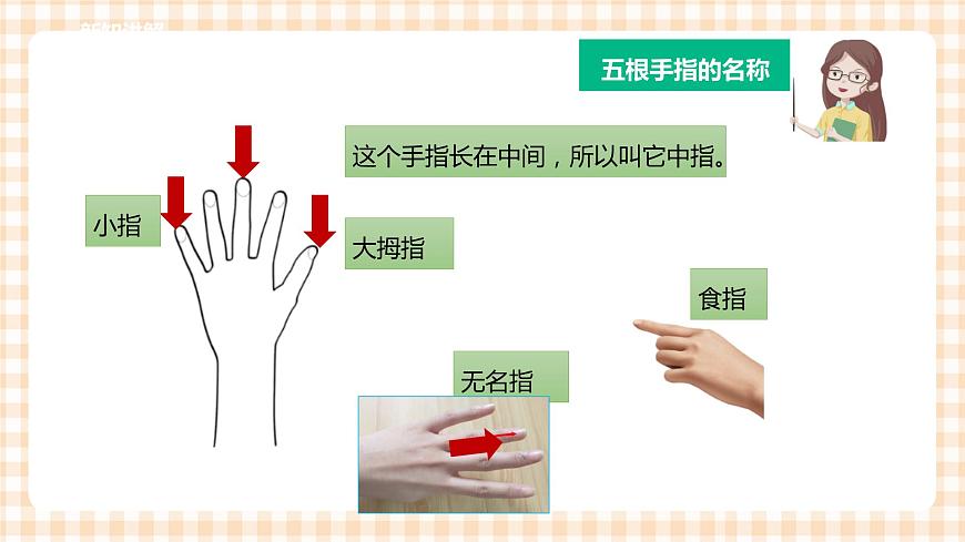 第四單元 益智游戲 活力拍手操  主題活動一《認識我們的小手》課件第7頁
