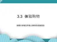 五年级上册综合实践活动课件  3.3 体验购物   安徽大学版