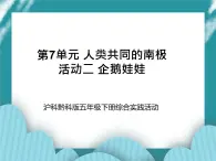 五年級(jí)下冊(cè)綜合實(shí)踐活動(dòng)課件+教案-第7單元 人類共同的南極 活動(dòng)二 企鵝娃娃  滬科黔科版