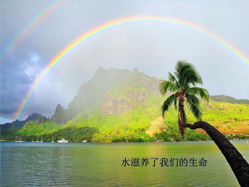 六年級上冊綜合實踐活動課件- 滋養(yǎng)生命的水｜長春版第4頁