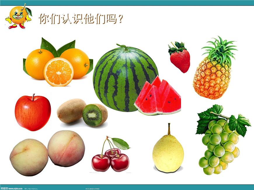 五年級(jí)下冊綜合實(shí)踐活動(dòng)課件- 水果拼盤｜長春版第3頁