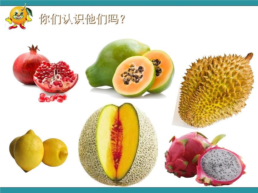 五年級(jí)下冊綜合實(shí)踐活動(dòng)課件- 水果拼盤｜長春版第4頁