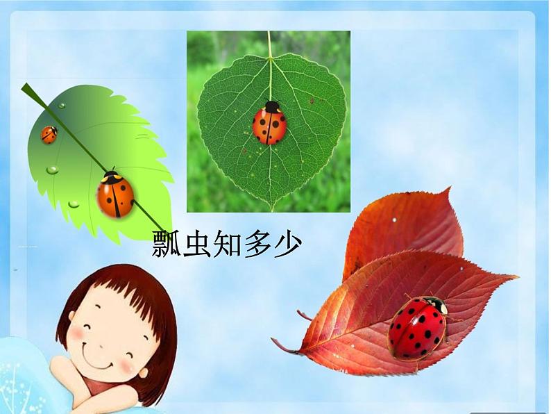 三年级上册综合实践课件-6.3瓢虫知多少++|沪科黔科版02
