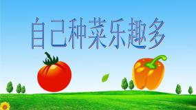 小学活动一 自己种菜乐趣多示范课ppt课件
