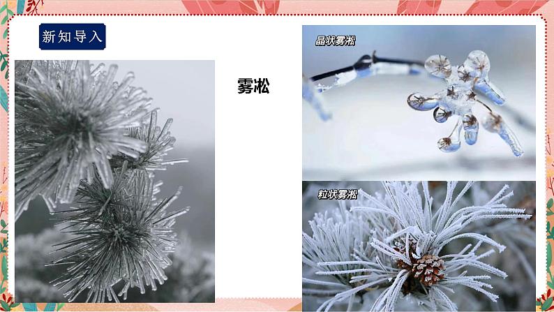 鲁科版综合实践活动五上 2.1《家庭用水小调查》课件+教案08