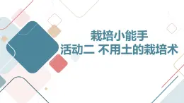 沪科黔科版五年级上册综合实践活动 活动二 不用土的栽培术（课件）