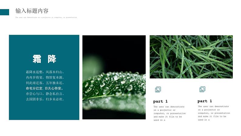 绿色小清新二十四节气霜降主题活动宣传课件PPT第6页