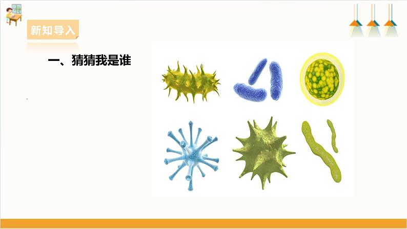 【粤教版】综合实践活动 五下 第二单元《微生物的妙用》第1课时(课件+教案)03