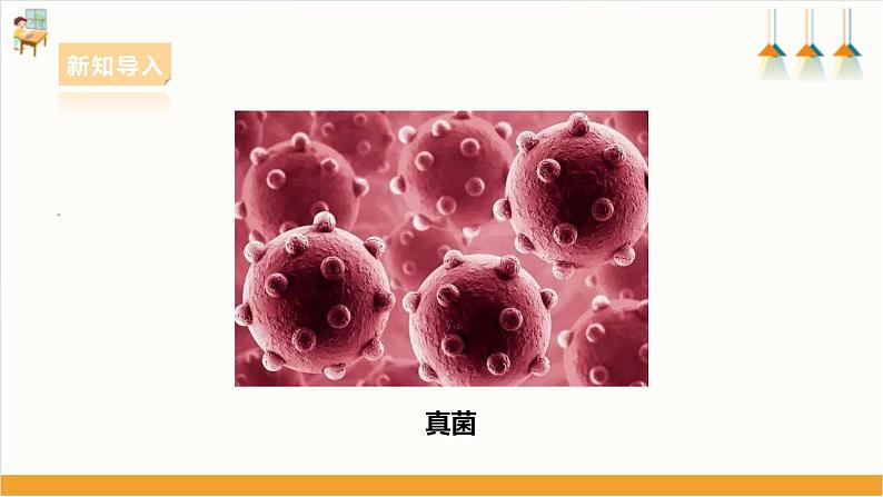 【粤教版】综合实践活动 五下 第二单元《微生物的妙用》第1课时(课件+教案)04