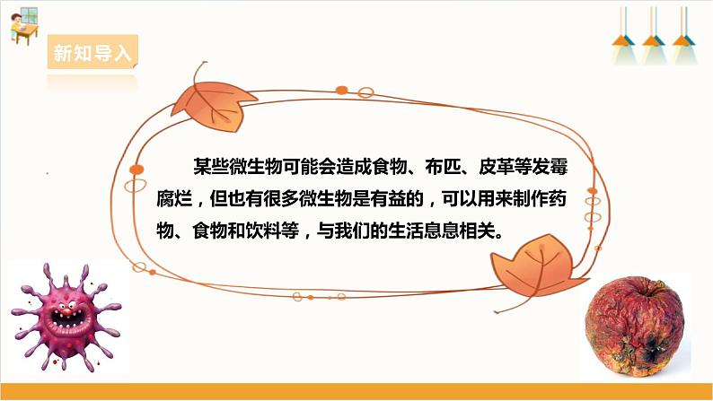 【粤教版】综合实践活动 五下 第二单元《微生物的妙用》第1课时(课件+教案)08